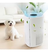 Amazon | 【氷を入れて、ひんやり風】 ONE STEP 冷風機 扇風機 小型