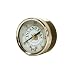 Inland Seas Nu-Clear Canister Filter Replacement Gauge for Nu-Clear Canister