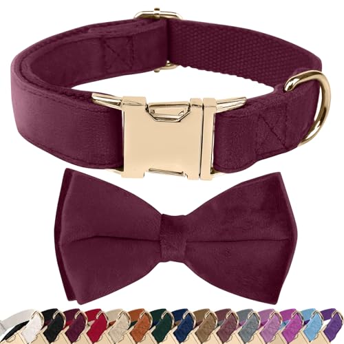 Dog Collars with Bow Velvet Puppy Collar with Zinc Alloy Safety Buckle Adjustable Soft Dog Bow Tie Collar Detachable Breakaway Dog Collar with Metal D-Ring for Small Medium Large Dogs