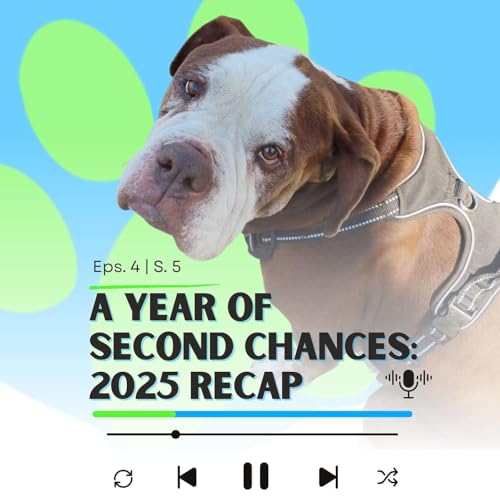A Year of Second Chances: 2025 Recap