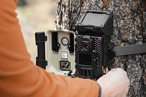 SPYPOINT 32GB Micro SD Memory Card Trail for Cameras | Adapter Media Storage for Trail and Game Cameras Designed | Used in Hunting and Trail Cams (Class 10 Speed) by SPYPOINT - Image 2