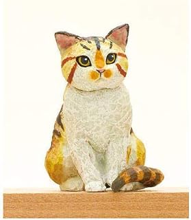 Amazon Co Jp はしもとみお