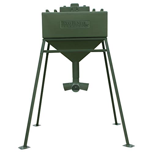 Best Protein Powder Under 1500 10Reviewz