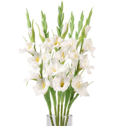 Wilafury Lot de 6 Fleurs de glaïeul artificielles, Branches Hautes réalistes 55, 9 cm, tiges Florales artificielles pour Vase, Fausses Fleurs réalistes pour...