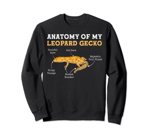 Anatomy Of My Leopard Gecko Sudadera