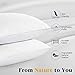 puredown® Goose Feathers and Down White Pillows with 100% Cotton Cover, Bed Sleeping Hotel Collection Pillows Set of 2, Standard Size