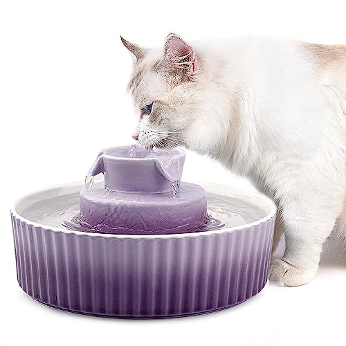 Top 10 Best Ceramic Pet Water Fountain Reviews & Buying Guide Katynel