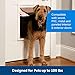 PetSafe Plastic Pet Door - Gives Your Pet Easy Outdoor Access - Durable Plastic Frame - Paintable White Frame to Match Home Decor - Snap-On Closing Panel for Safety - Simple DIY Installation - Large