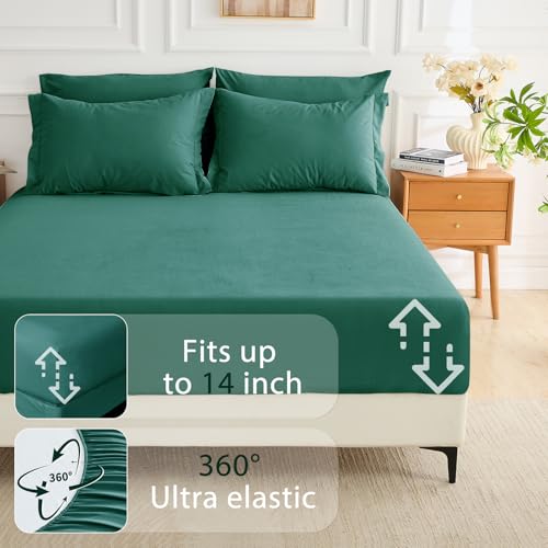 MUXHOMO 5 Pieces Twin Comforter Set, Soft Bed in a Bag Twin Size, All Season Bedding Set with Comforter, Flat Sheet, Fitted Sheet, Pillowcases & Shams, Emerald Green