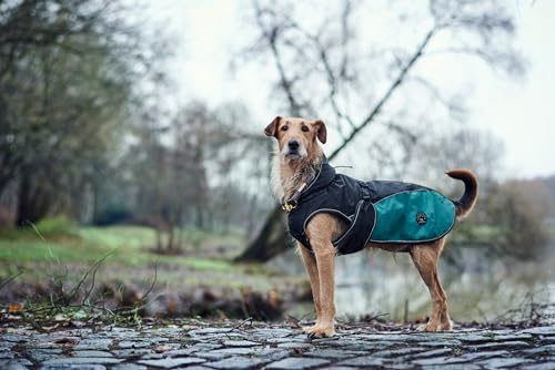HUNTER Hundemantel UPPSALA ALLROUNDER, Farbe: anthrazit/petrol, wasser- und windabweisend, herausknöpfbares Innenfutter, reflektierende Paspeln, elastische Fixiergummis, optimaler Sitz, Größe: 40