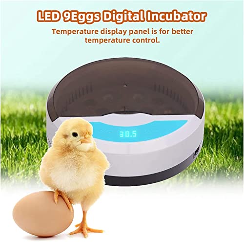 Lreerge Egg Incubator，With 9 Led Lighted Egg Candle Tester And Temperature Control Device One-Key Incubation For Heat Preservation And Mini 9 Egg Incubator Breeder For Chicken, Ducks, Birds #TOP5