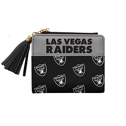 Image of Littlearth NFL Las Vegas Raiders Mini Organizer, Team Color, One Size