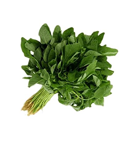 Image of Bathua Seeds Hybrids F1 Vegetable Seeds for Home Garden for Planting for All Season (Pack of 5 Packets) By Zabbus