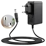 Utilisation Simple: Cet adaptateur secteur transfo pour Caméra se branche immédiatement pour une recharge rapide, maintenant votre caméra de surveillance toujours opérationnelle