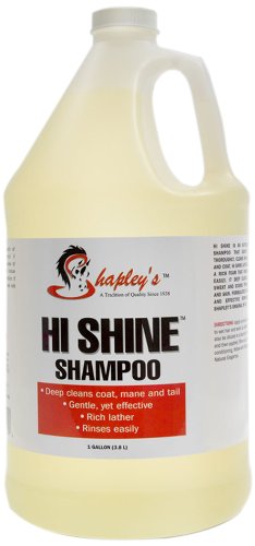 Shapley S Hi Shine Champú, para hormigón