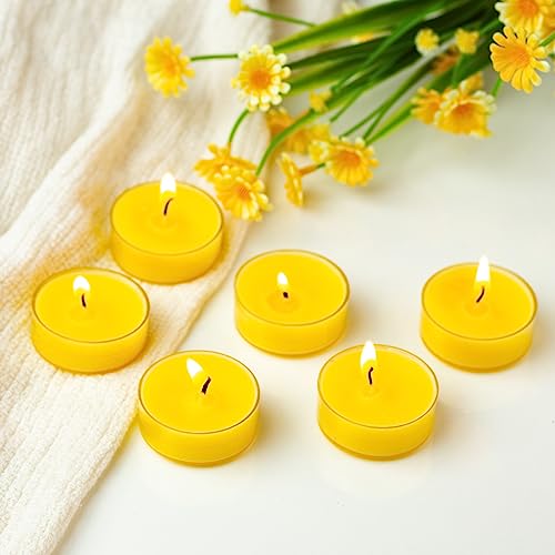 Image of AuraDecor Scented Soy Wax Acrylic Tealight Candle, Organic Luxury Aroma, Aromatic /Aromatherapy Candle || Long Lasting Burning Time (Pack of 1, Honeysuckle & Indi Flower)