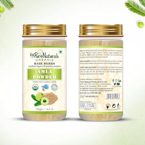 Image of byPureNaturals Aequo Organic 100% Natural Amla Powder| Phyllanthus| Emblica Officinalis| Gooseberry Powder| Hair Growth| Healthy Skin| Face Care - 125gm