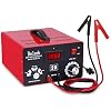 C20 Adjustable Battery Charger 12V 24V 36V 48V, 12A Pulses of High-Voltage Battery Desulfator Maintainer with Smart Chip for Lead-Acid LiFePO4 Lithium Batteries BLB-C20
