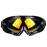 MINGMIN-DZ Sonnenbrillen der Frauen Einlagige Windproof Langlaufski Brille Universal Erwachsene Kinder Bergsteigen Outdoor-Sportgeräte Reiten Polarisierte Sonnenbrille für Männer (Color : Black)