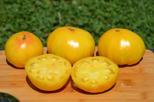 Huge Lemon Oxheart Tomato image