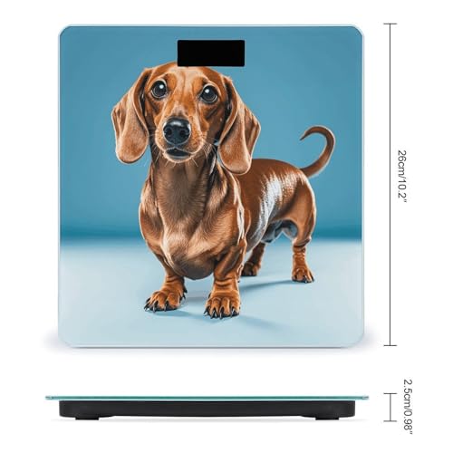 Báscula Digital para Mascotas Dachshund Weiner de Vidrio Templado miniatura 2