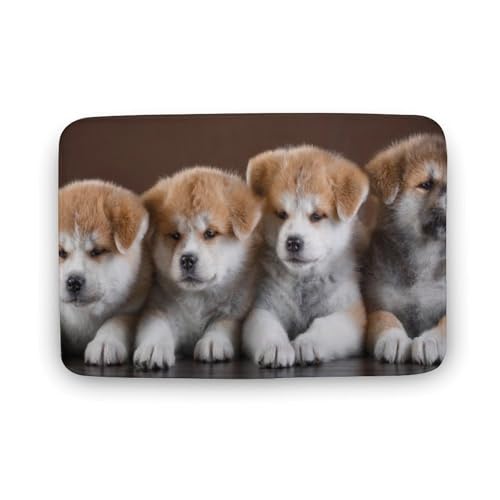 Č  L  oX}bg   z փ}bg  O    ~ Aj LN^[ @}bg   ʏ