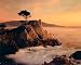 Lone Cypress Tree Pebble Beach Ocean Scenery Wall Decor Art Print Poster (16x20)