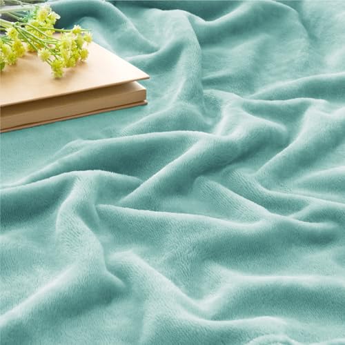 Image of BEDELITE Fleece Blanket Haze Blue Throw Blankets for Couch & Bed, Luxury Plush Cozy Fuzzy Blanket 50 inch x 60 inch, Super Soft Warm Lightweight Throw Blanket for Travel Camping