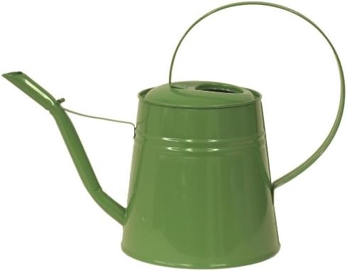HIT 8557E SA Enameled Galvanized Heavy Gauge Steel Watering Can, 3-Quart, Sage
