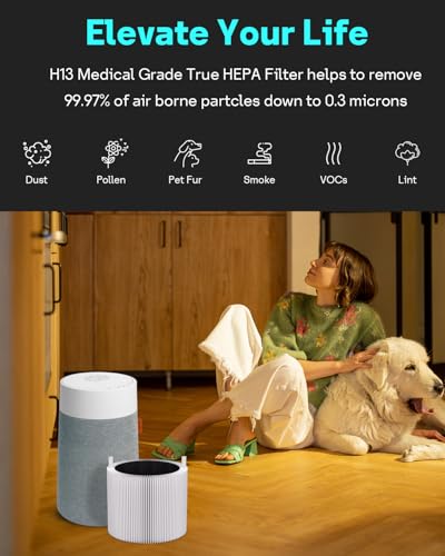 Image of Leemone 2 Pack mini Max SmokeBlock Filter Compatible with SmokeBlock Mini Max Air Purifiers, Activated Carbon FMINI Filter
