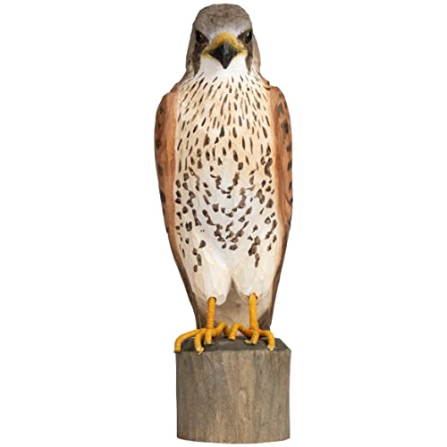 WILDLIFEGARDEN WG4470 DecoBird pustułka wieżowa - ręcznie rzeźbiony dekoracyjny ptak z drewna - duże ptaki europejskie