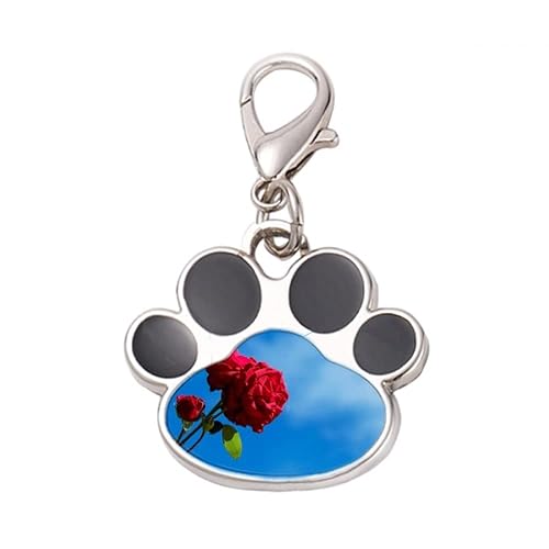 DIYthinker?blue sky red roses green Pet Tag Keychain Dog Cat ID