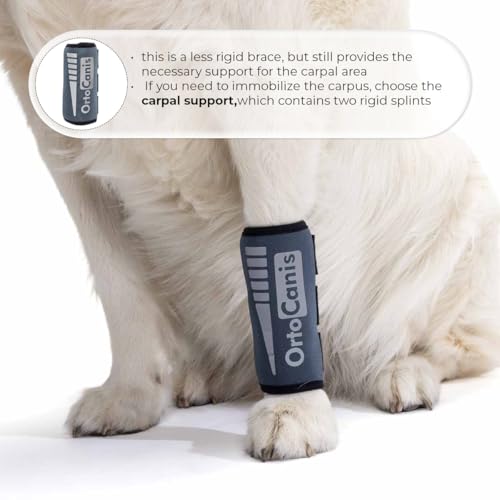 Ortocanis - Karpalgelenk-Bandage für Hund - Arthrose, Bänder- und Sehnenverletzungen oder Agility-Hunde - Hergestellt aus Neopren ARD - Größe L 17-19 cm