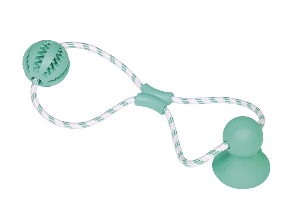 Nobby Solid rubber ball with rope Dental Line