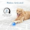 PJC Interactive Dog Toy – Automatic Electric Rolling Ball with Rope, Motion-Activated Play, Random Movement, Rechargeable, Ideal for Boredom Relief for All Dog Sizes #4