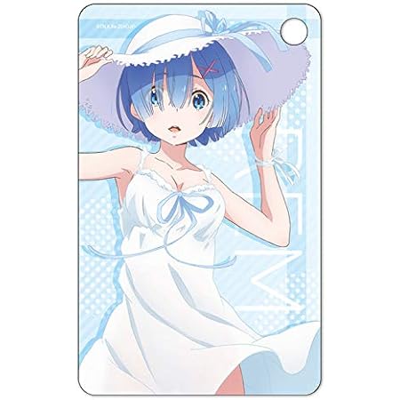 Amazon Re ゼロから始める異世界生活 パスケース レム ワンピース Ver アニメ 萌えグッズ 通販