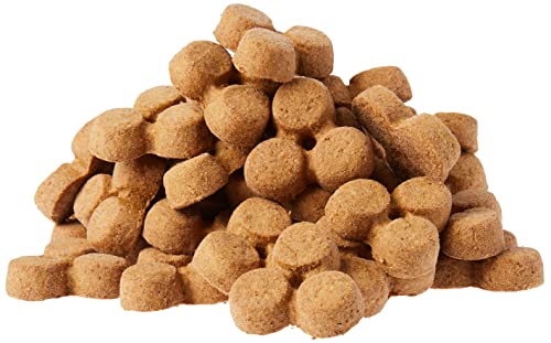 Amazon Brand - Wag Expedition Human Grade Organic Biscuits Dog Treats, Non-Gmo, Gluten Free, Banana & Coconut, 10Oz #TOP4