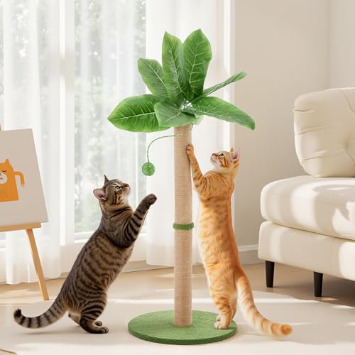 Image of Sweetcrispy 33 inch Cat Scratching Post for Indoor Cats, Cat Scratcher Scratching Posts with Dangling Ball for Adult, Palm Tree Cat Scratch Post for Kittens, Green