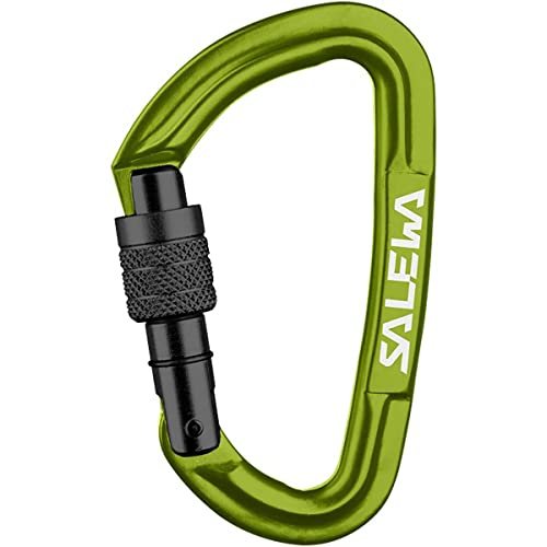 Salewa Hot G3 Screw Carabiner, Grün