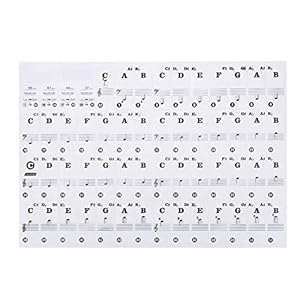 Pianotoetsenbordstickers, high-performance elektronische pianostickers, praktisch, duurzaam, zwart en kleurig, hoge…