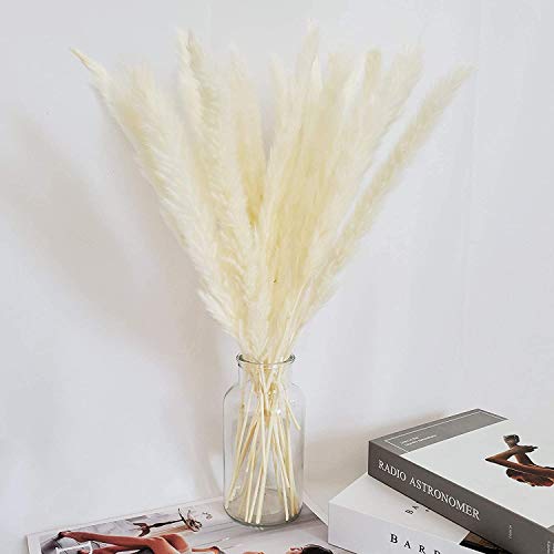 Viilich Gedroogde bloemen Pampas Gras, 45cm 30st Gedroogde Kleine Pampas Phragmites Communis decoratie Natuurlijke… - Afbeelding 3