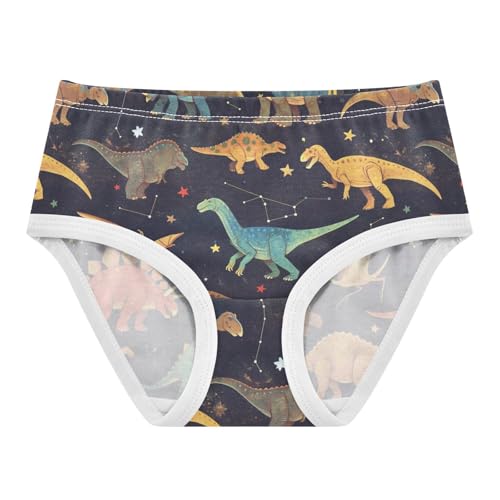 Wusikd Dinosaurs Colors Girls' Underwear Cotton Starry Night Sky Girls Briefs Soft Toddler Underwear 2T