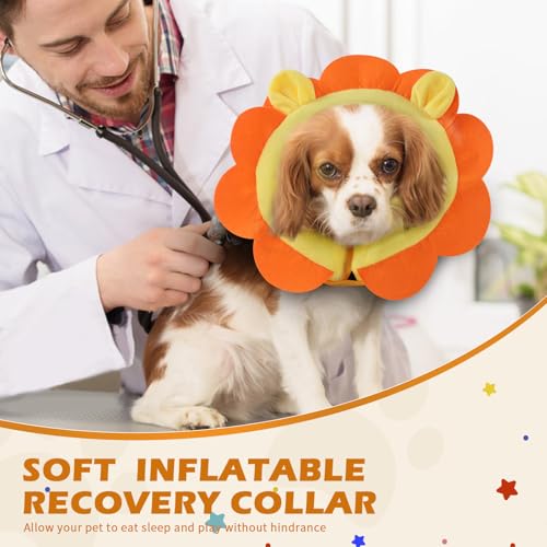 IEUUMLER Aufblasbare Halskrause Hund, Einstellbar Bequem Hundekragen Leckschutz für Hunde & Katzen Nach der Operation Verhindert das Beißen und Kratzen EU004 (M, Orange Lion)