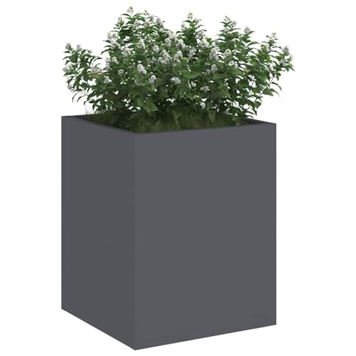 vidaXL Caja Decorativa para Plantas en el Jardín - Terraza Urbana de Verano, Ideal para Patios y Balcones