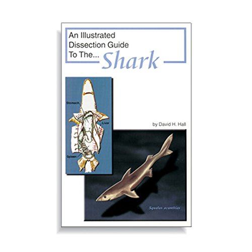 Image of Ranaco W4R5306 Dissection Guide Shark,Grade: 1 to 12, 0.12 inch Height, 5.62 inch Wide, 8.5 inch Length