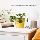 Zoom IMG-2 virtune fioriera giallo chiaro Zoom IMG-2 virtune fioriera giallo chiaro