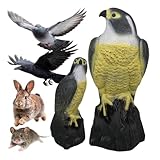 Falco Spaventapasseri Realistico Dissuasore Piccioni Storni Passeri Repellente Uccelli Per Balcone Terrazzo Giardino Falcon Finto Antipiccioni Plastica Resistente UV Per Esterno