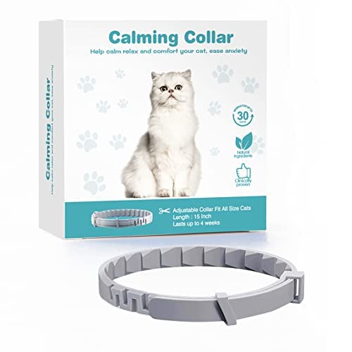 The 25 Best Cat Calming Collars Cat Life Daily