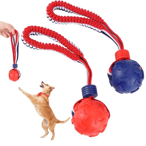 YiliYa 2 Piezas 7cm Pelota con Cuerda para Perros, Pelotas de Juguete para Perros, Pelota Interactiva de Juguete para Perros para Perros Grandes Y Pequeños Cuidado Dental Buscar Atrapar