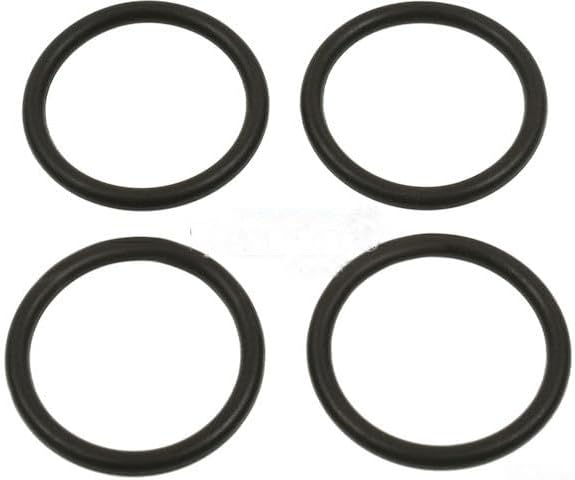 High Pressure Oil Rail O-Ring Kit for 2006-2007 International 4100 (PG-1834953)